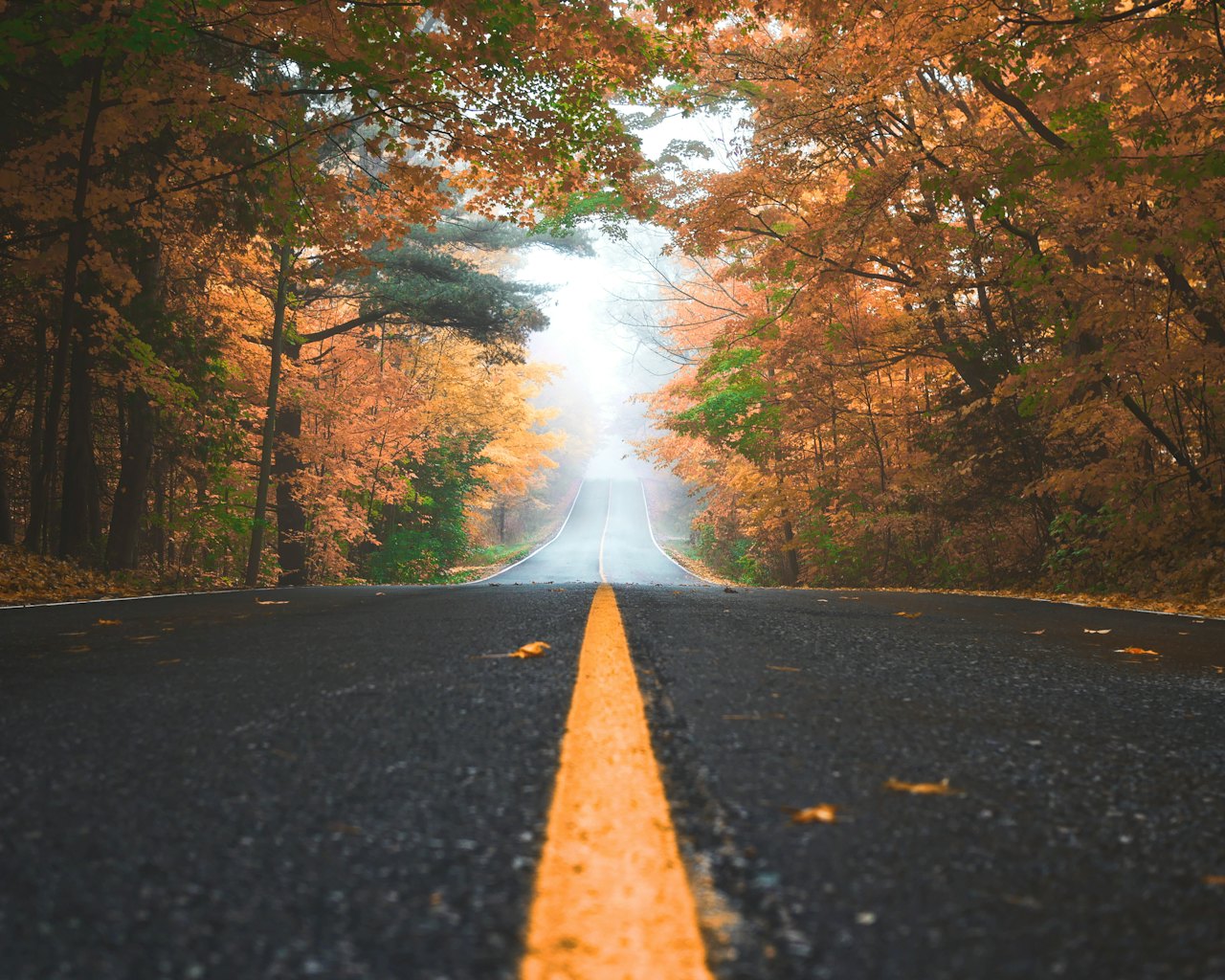 Road through bright orange autumn trees